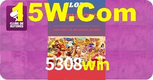 5308win App Interface