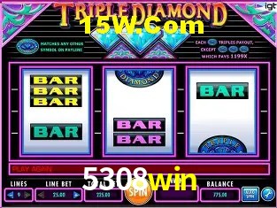 Ofertas Exclusivas 5308win