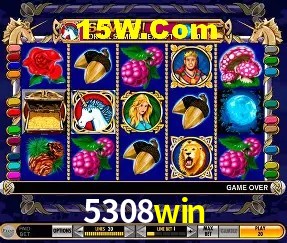 Segurança 2FA 5308win