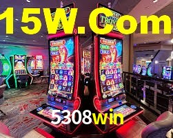 5308win