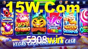 Premium Interface 5308win