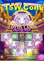 Casino Ao Vivo 5308win